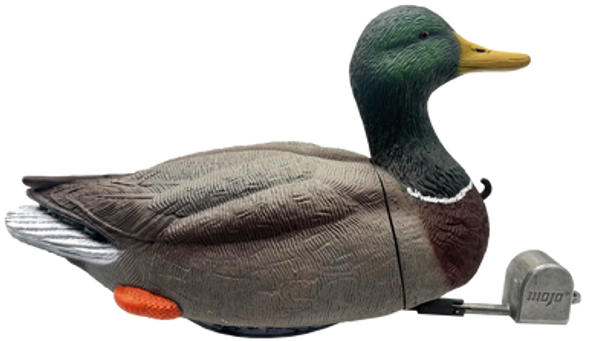 MOJO HW2554 DABBLER DUCK