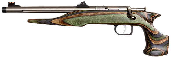 Chipmunk 41105 Hunter Adult 22 Mag 1rd 9" Threaded Stainless Steel Single Shot Barrel, Camo Laminate Stock