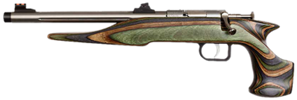 Chipmunk 41105 Hunter Adult 22 Mag 1rd 9" Threaded Stainless Steel Single Shot Barrel, Camo Laminate Stock