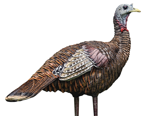 Avian X (gsm) Lcd, Avian Avxavx8006   Lcd Lookout Hen          Decoy