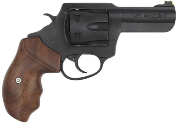 Charter Arms The Professional 357mag 3"