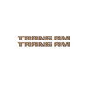 Trim Parts 1980 Trans Am Bronze Fender Decal - (TPG-6771)