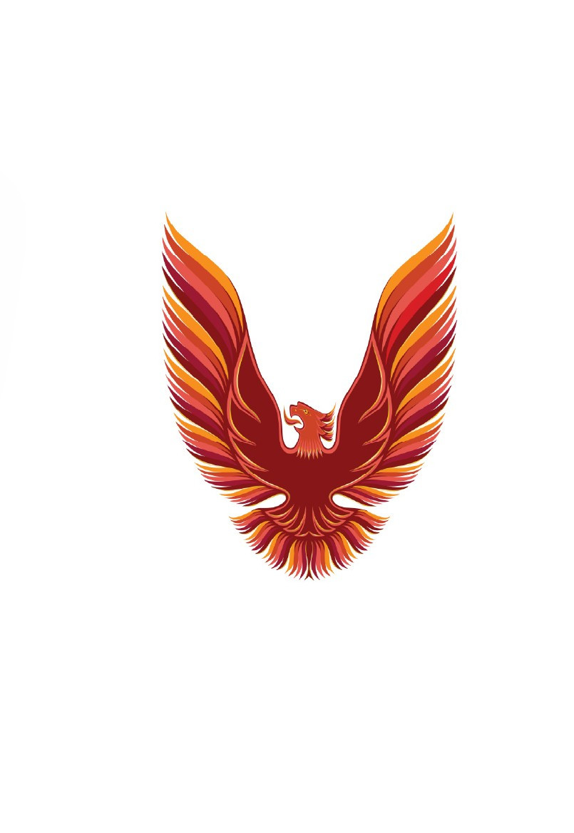 Trim Parts 1978-1980 Firebird Trans Am Quarter Sail Panel 3 Inch Bird Decal- Orange - (TPG-6325)
