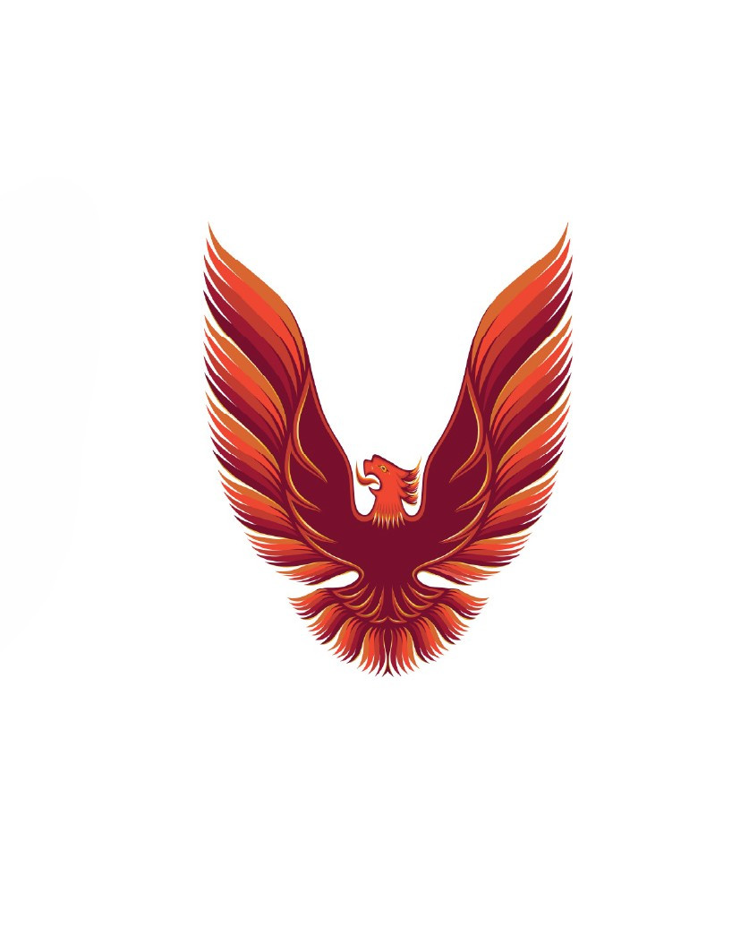 Trim Parts 1980 Firebird Formula and Trans Am Quarter Sail Panel Bronze 3 Inch Bird Decal - (TPG-6769)