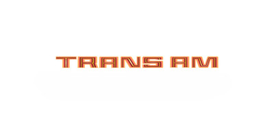 Trim Parts 1978-1980 Trans Am Fender Decal - Orange - (TPG-6335)