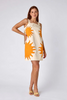 CROSBY WARREN DRESS