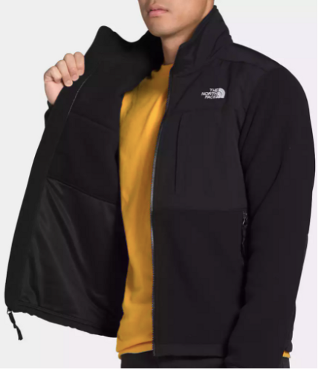 THE NORTH FACE DENALI 2 JACKETS - Steve's on the Square