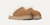UGG DISQUETTE SLIPPER