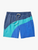FAIR HARBOR BUNGALOW SWIM TRUNKS