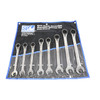 SP Tools 20-32mm Reversible Geardrive ROE Spanner Set Metric 8pce