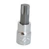 SP Tools 3/8 Dr x T55 C/V Torx Hand Socket