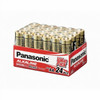 Panasonic AA Alkaline Battery