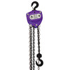 Beaver 3S 1T x 6m Violet Chain Block