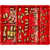 Champion Rivet Nut Insert Assortment