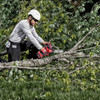 Milwaukee M18 Fuel Hatchet Pruning Saw 8” 203mm (Tool Only)