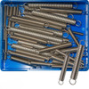 Champion Extension Spring Assortment - S/Steel