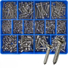 Champion Self Tap Screw Pan Head X'Res S/Steel Assortment