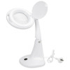 Geiger Desktop Magnification Lamp