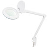 Geiger Magnification Lamp