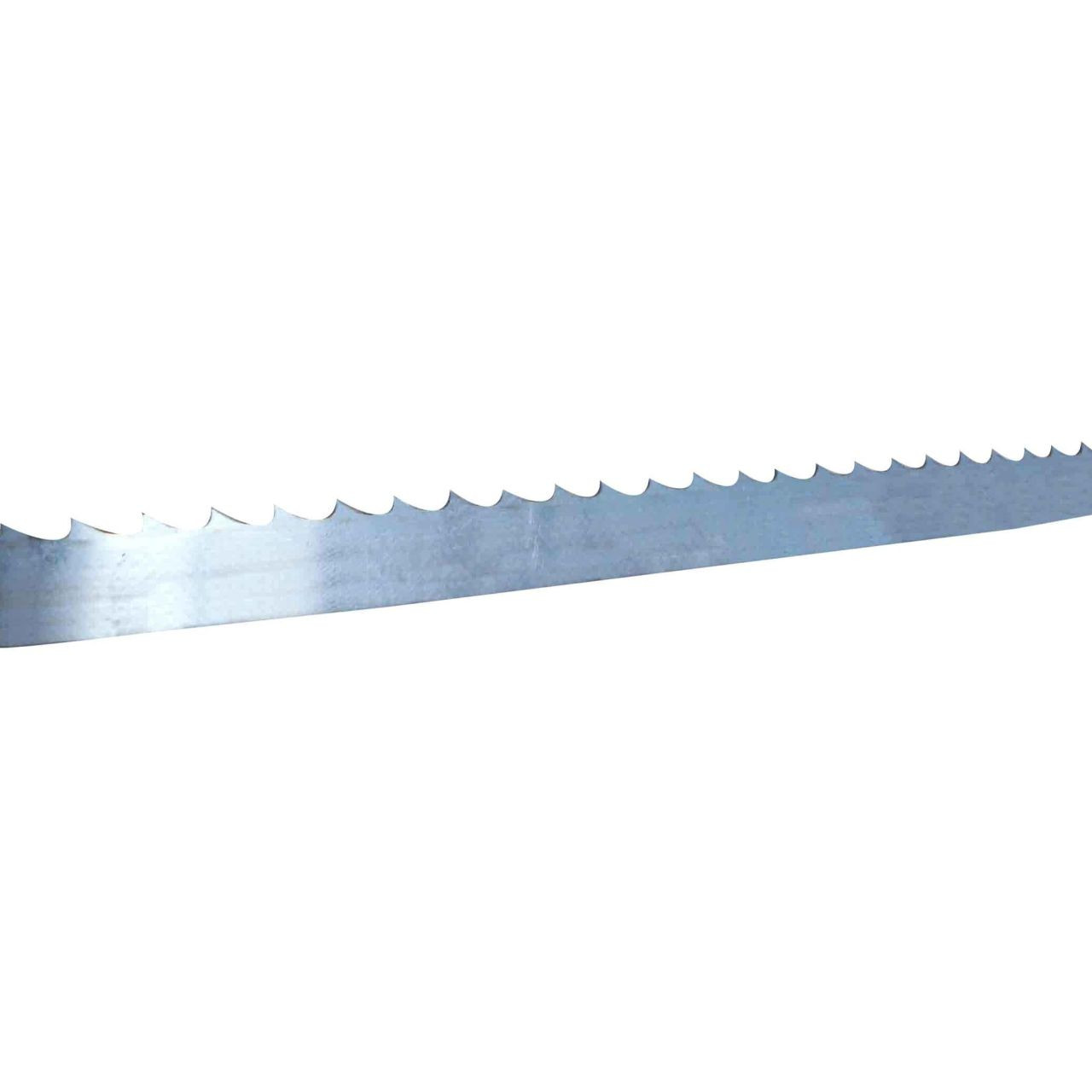 Meat Bandsaw Blade 16x0.6x4 3910L