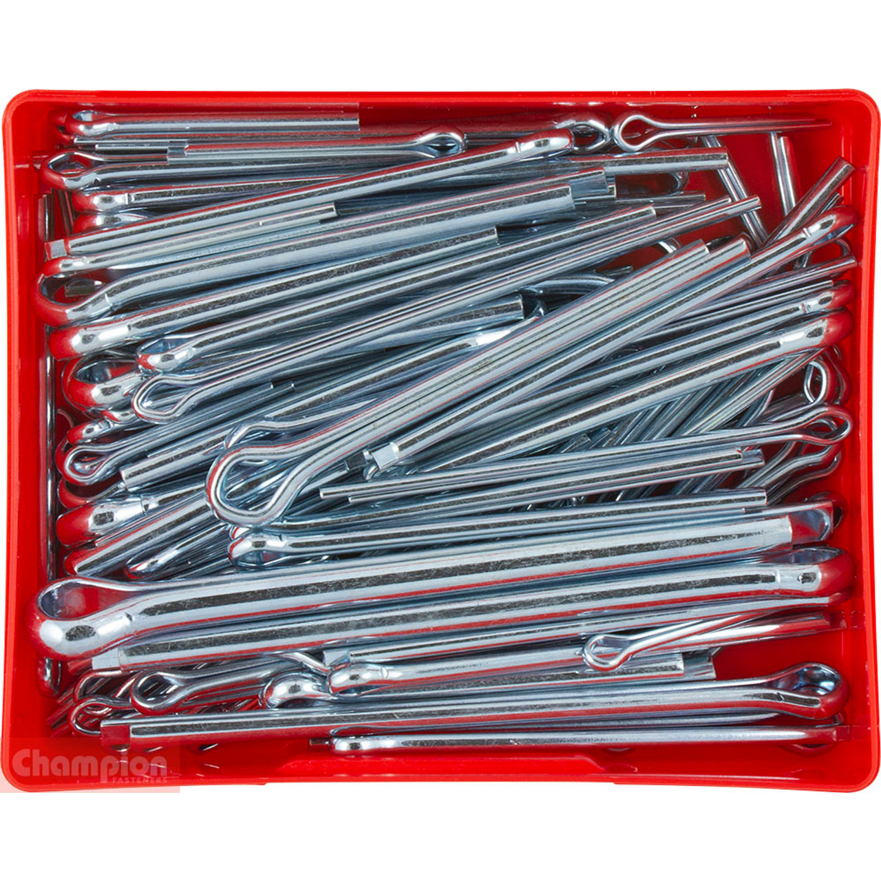 Champion Large Steel Split Pin Assortment