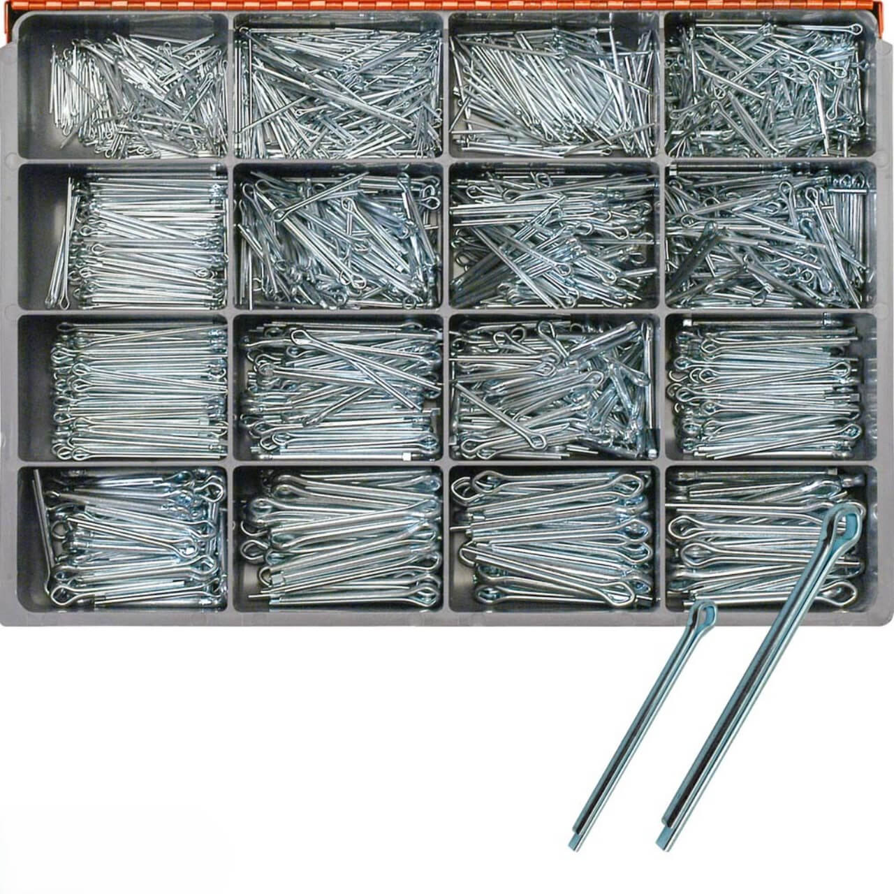 Champion Split Pins Steel Zinc Plated Master Kit