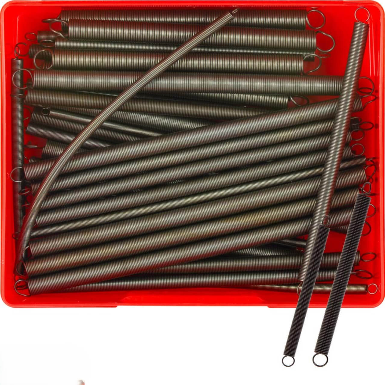 Champion Accelerator Spring Assortment