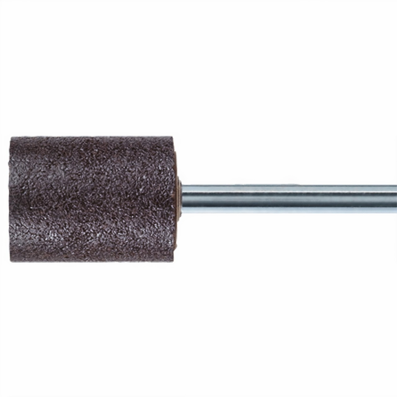 Pferd Mounted Point Inox 20x40mm