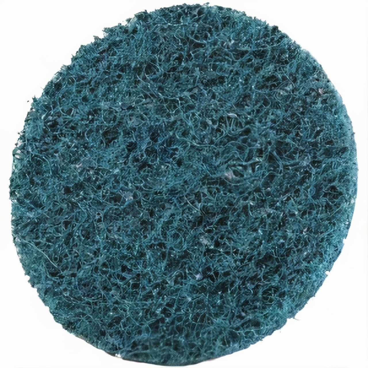 3M Scotch-Brite 50mm Roloc S/C Disc A-VFN Blue
