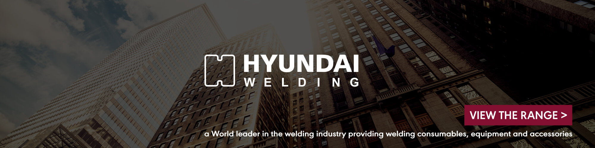 Hyundai Banner