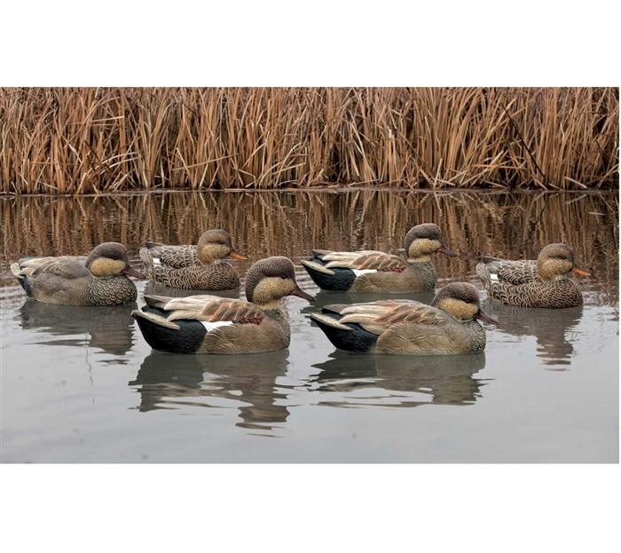 AvianX Top Flight Gadwall Floating Duck Decoys 6Pack AVX8085