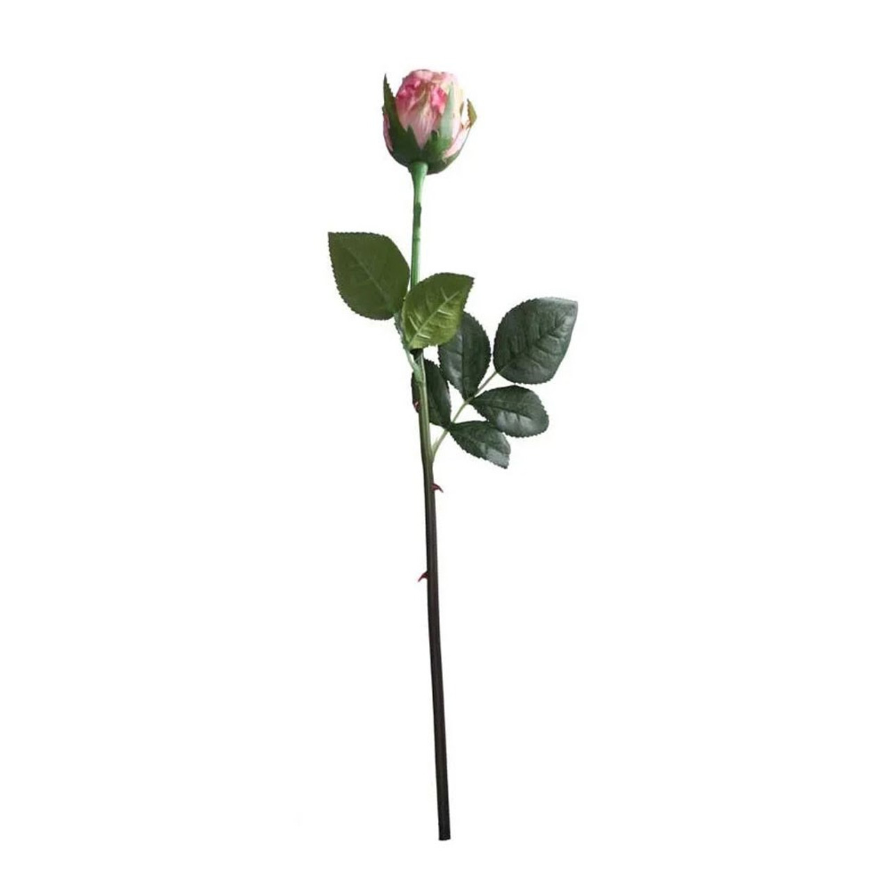 Oxford Rose Bud Pink