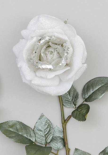 72cm Cinnamon Rose White