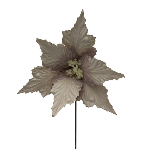 Poinsettia Stem Champagne D27 L15cm