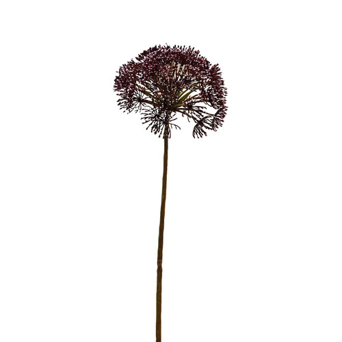 Anethum Spray Dark Pink