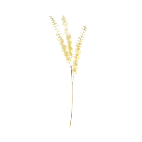 Essential Dry Look Bleached Eucalyptus Stem