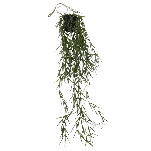 Botanica Trailing Fire Stick Plant - 86cm