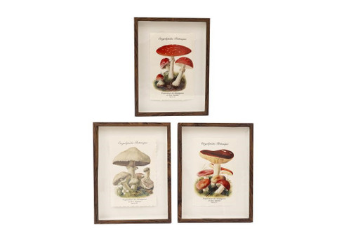 30X40Cm Torn Paper Box Frame