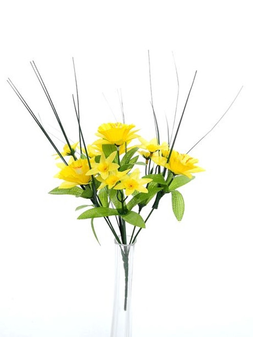 Flora Daffodil Mini Bush Yell