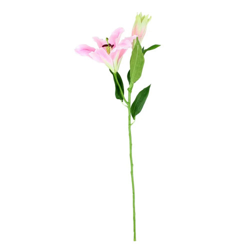 Tintagel Lily Light Pink