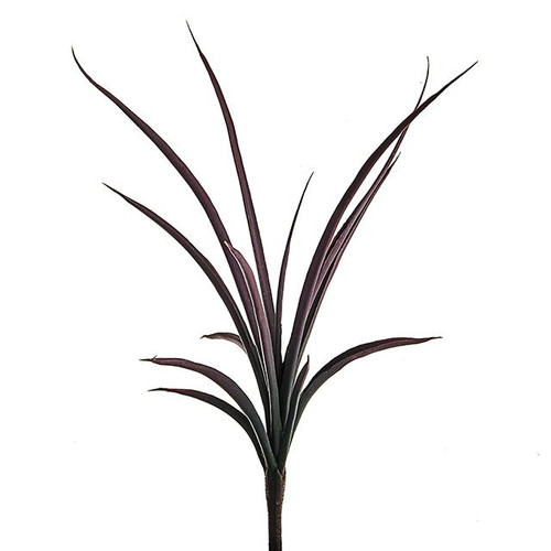 Aloe Spray Purple 40Cm