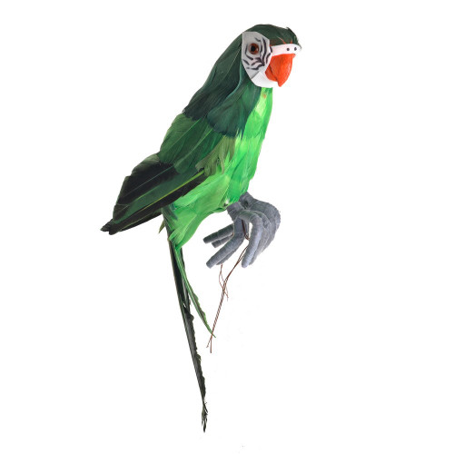 Perching Macaw Green Small