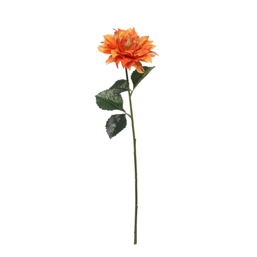 Glamis Single Dahlia With 2 Leaves Orange (61Cm)