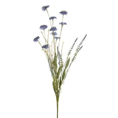 English Heath Daisy Leaf Blue