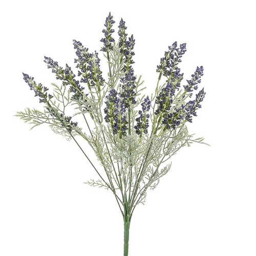 Flora Lavender Bush Purp 45Cm
