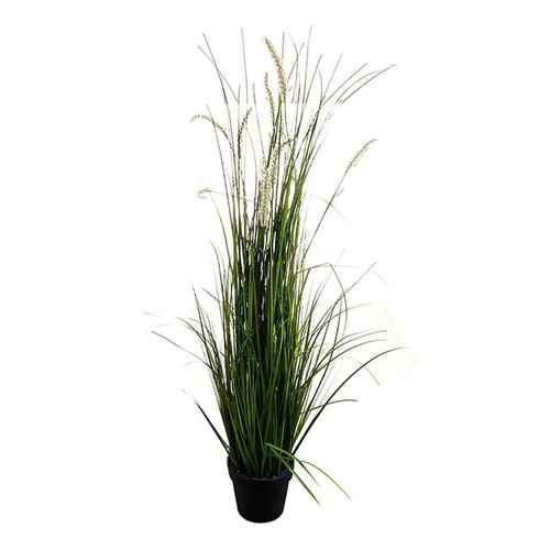 Potted Grass And Cream Cattail 137Cm