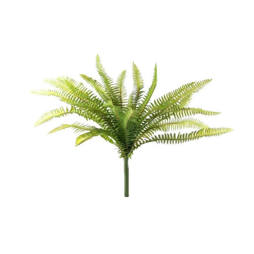 Forest Fern 40Cm