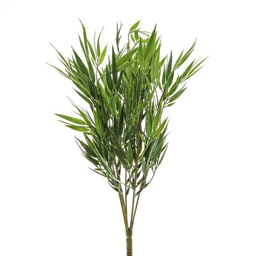 Bamboo Bush 46Cm