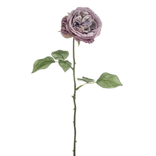 MIA Rose Purple 56Cm