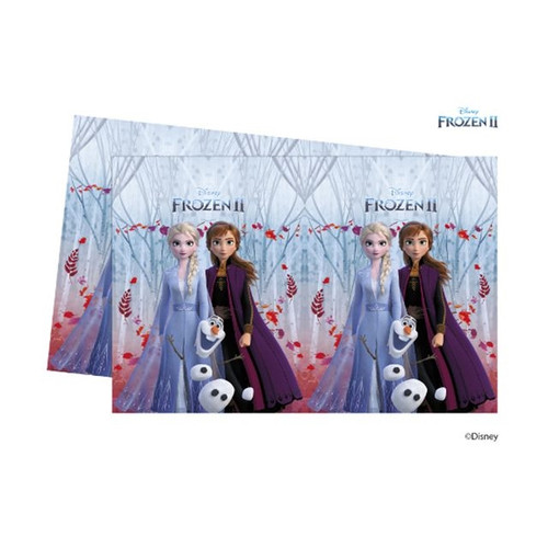 Frozen Party Tablecover